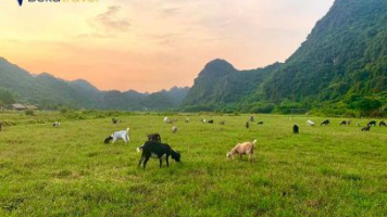 3 Days 2 Nights Discover Cat Ba Island